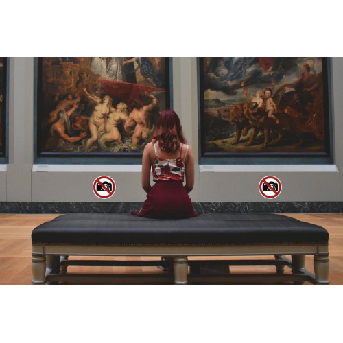 Panneau d’interdiction ISO 7010 « Interdiction de photographier