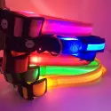 Collar de LED para perro y gato Mejor precio, tienda, ir de
