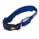 Led luminous Dog/Cat Collar Best Price, shop, shopping