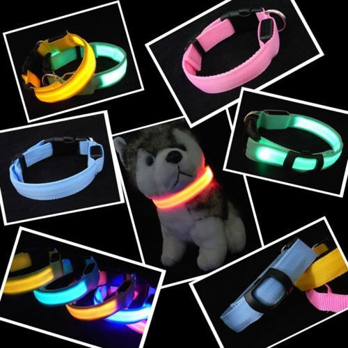 Coleira de LED para cachorro e gato Melhor preço, loja, compras