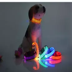 LED Dog/Cat “Leopard” Collar in two sizes Best Price, shop