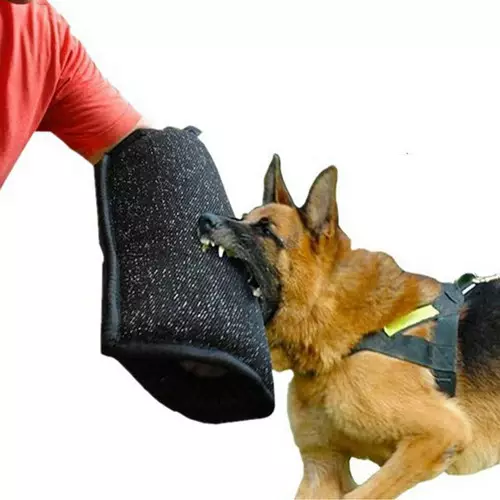 Biss- und reißfestes UHMWPE-Polyestergewebe für das