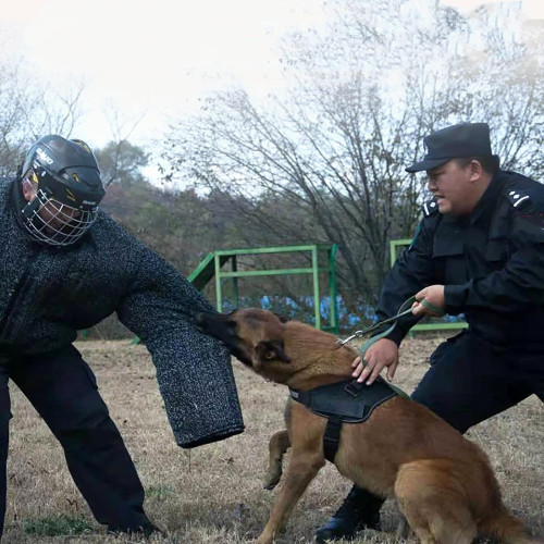 Tessuto UHMWPE Poliestere resistente ai morsi e allo strappo