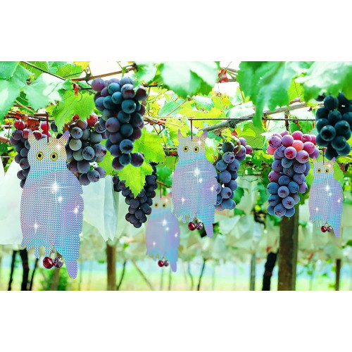 2 Gufo Spaventapasseri Dissuasore Uccelli Riflettente per