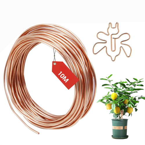 Fil de cuivre pur T2 émaillé pour hydroponie, jardinage, bonsaï
