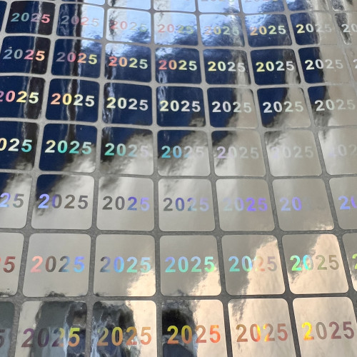 100 silberne Sicherheits- und