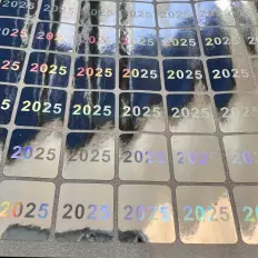 100 Etiquetas adesivas de selo holográfico de segurança e 2