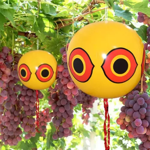 2 Scare Balloons | Visual Repellent for Pigeons and Birds 40cm