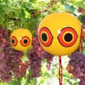 2 Globos Espantapájaros | Repelente Visual para Palomas y Aves