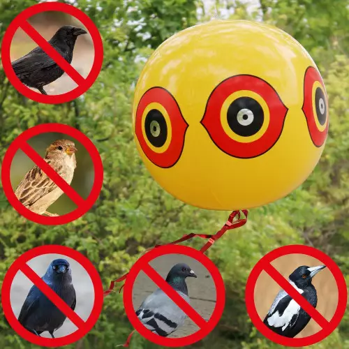 2 Balões Espantalho | Repelente Visual para Pombos e Aves 40cm