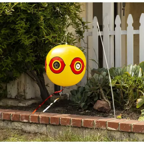 2 Ballons Épouvantail | Répulsif Visuel pour Pigeons et Oiseaux