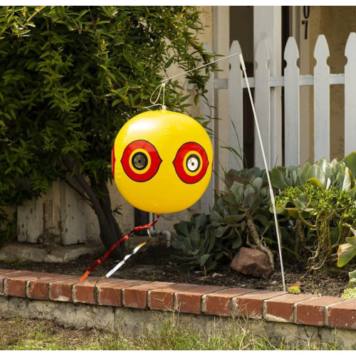 2 Scare Balloons | Visual Repellent for Pigeons and Birds 40cm