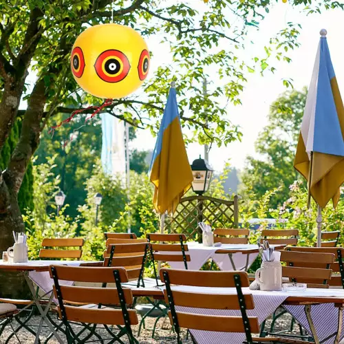 2 Balões Espantalho | Repelente Visual para Pombos e Aves 40cm