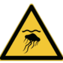Señales ISO 7010 de "Peligro de Medusas" - W069 Mejor precio