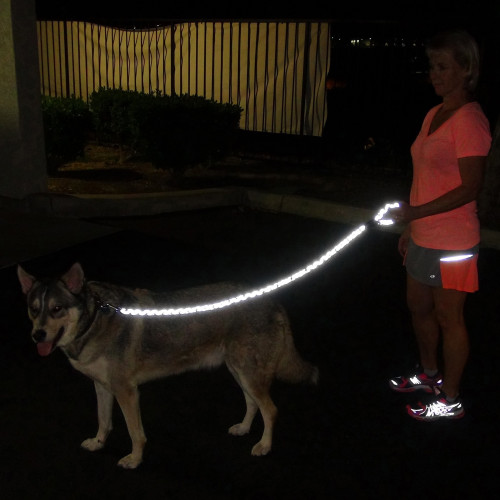 Laisse noir réfléchissante pour chiens en longuer de 1,5 m