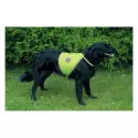 Reflective Safety Dog Vest in different sizes Best Price, shop