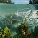 Serra da giardino con il telo verde riparato con il nastro trasparente
