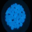 Fluorescent and luminous blue sky resin pebbles glow in the