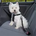 Universal Dog Pet Safety Seat Belt Best Price, shop, shopping