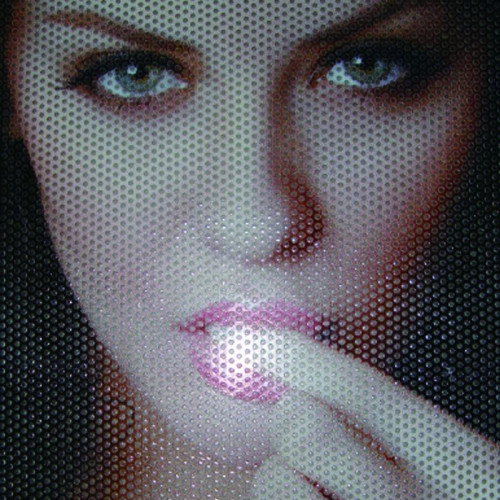 Lámina en vinilo perfurado negro de alta calidad para