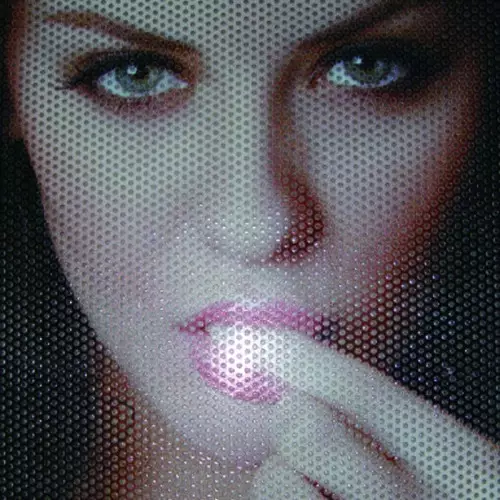 Black Perforated Mesh Tinting FIlm Best Price, shop, shopping