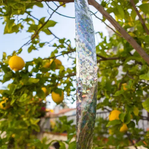 Reflective Holographic Scarecrow Tape Best Price, shop