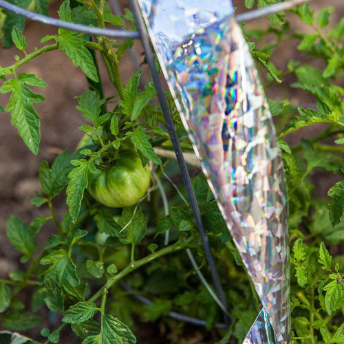 Reflective Holographic Scarecrow Tape Best Price, shop