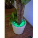 Sassolini luminosi in resina fotoluminescenti colore verde