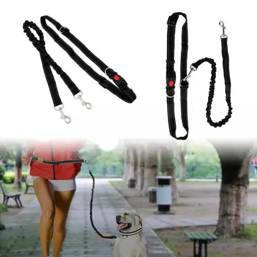 Guinzaglio elastico per correre/camminare con cani dotato di