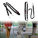 Elastic leash for running / walking with dogs equipped with