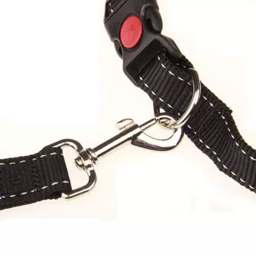 Coleira elástica para corrida / caminhada com cães equipados