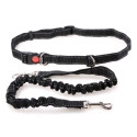 Elastic leash for running / walking with dogs equipped with