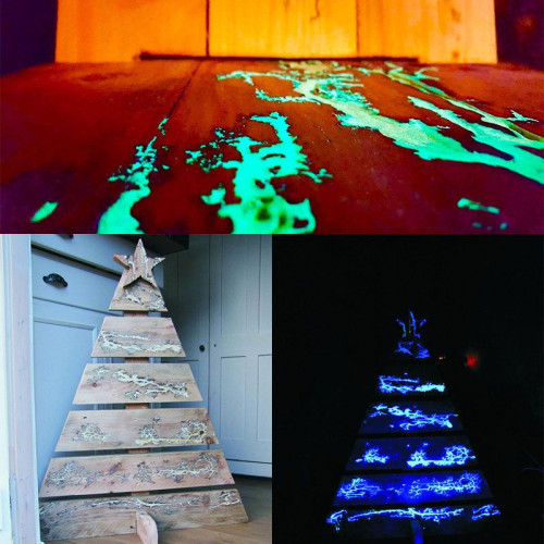 Pigment Phosphorescent Luminescent en Poudre – 5 Couleurs Fluo