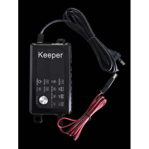 Chargeur de batterie, mainteneur, réparateur, réactivation de