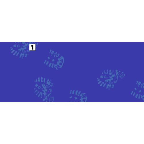 Decontamination carpet with flip-off bactericide 90x60 cm, pack