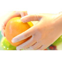Gants en vinyle jetables avec poudre 100pcs / taille XL Vente