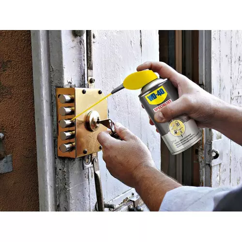 Especialista em WD-40 - Lubrificante Anti-Corrosão Spray Lock