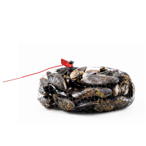 Scellés de sécurité en plastique réglables avec fermeture à