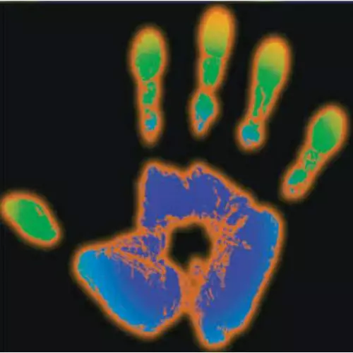 Liquid crystal thermochromic adhesive sheet that changes color