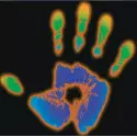 Liquid crystal thermochromic adhesive sheet that changes color