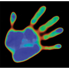 Foglio adesivo termocromatico a cristalli liquidi che cambia